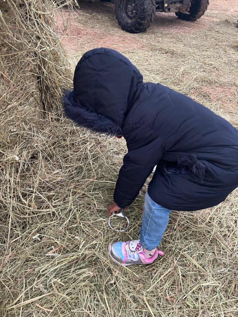Child in winter coat exploring hay bales at Rainbow Riders farm visit